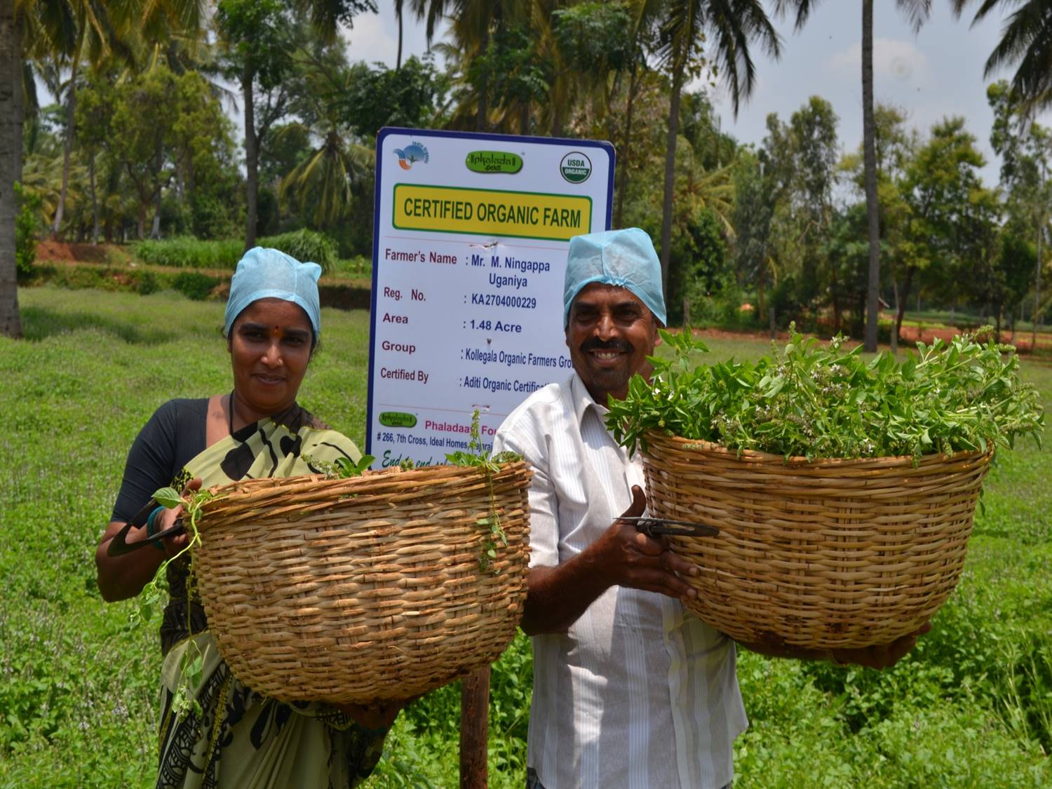 Community development